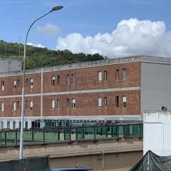 WhatsApp-Image-2021-09-24-at-08.38.13-240x240